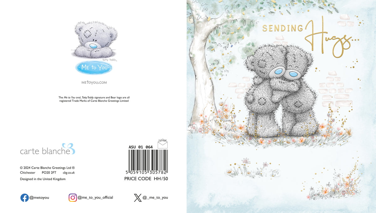 Me to You Tatty Teddy 'Sending Hugs' Thoughtful Greeting Card x