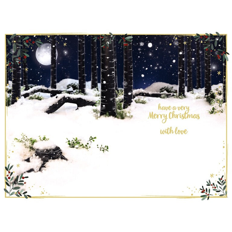 Me to You Tatty Teddy 'Someone Special' 3D Christmas Card