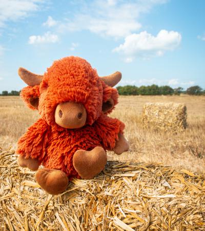 All Creatures Hamish the Highland Cow Cuddly Toy Medium Size (22cm)
