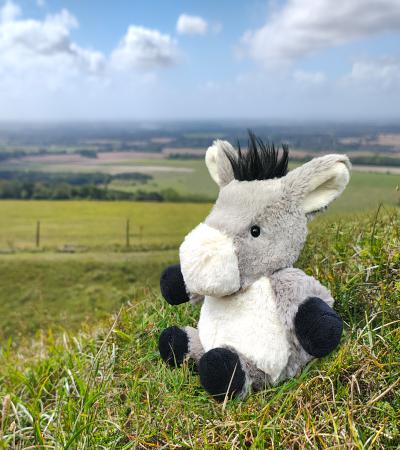 All Creatures Cleo the Donkey Cuddly Toy Large Size (36cm)