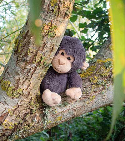All Creatures Medium Plush Kokomo The Chimpanzee, Soft Cuddly Toy 16cm