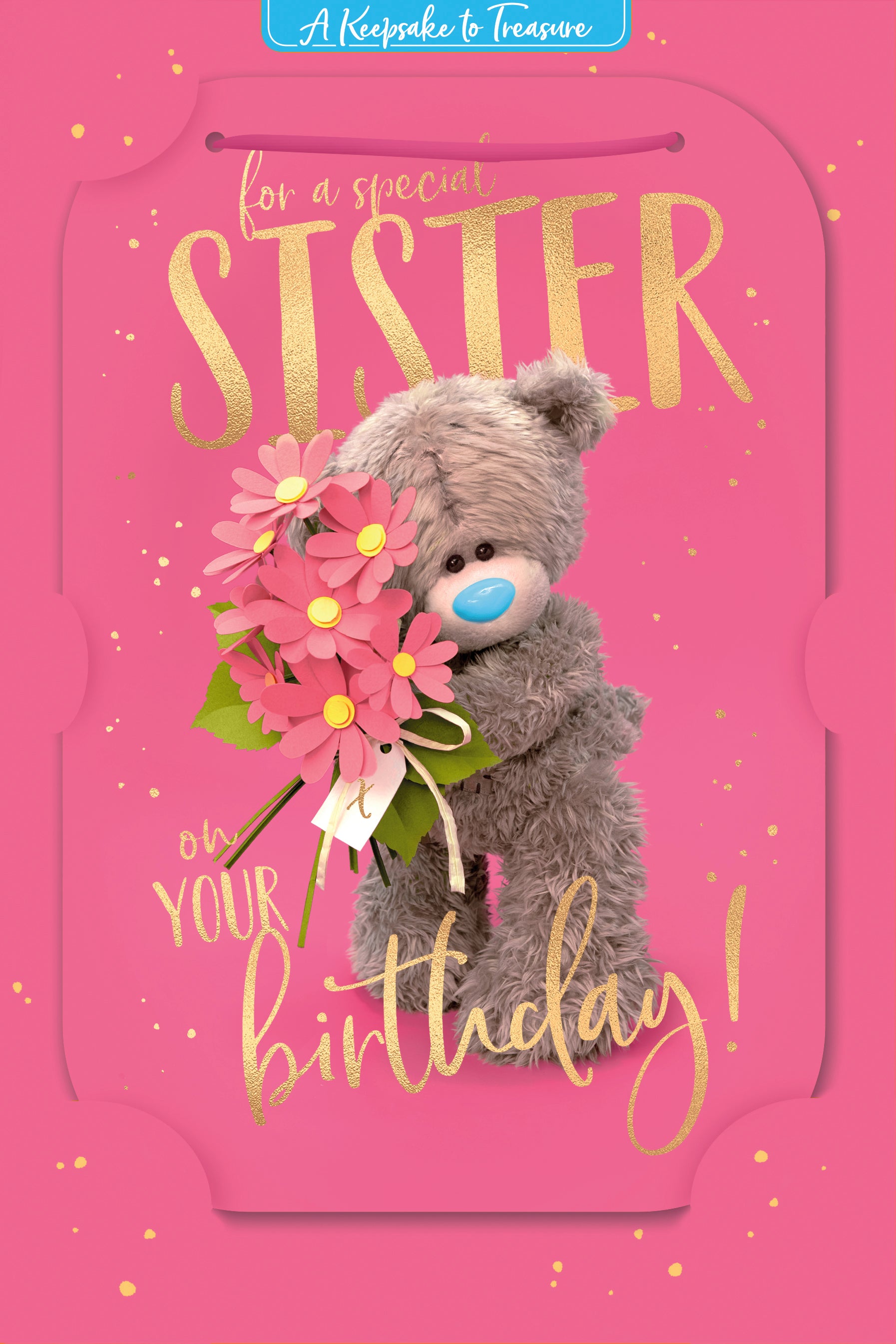 Me to You Tatty Teddy Special Sister Luxury 3D Card, 6 x 9 Inches - Official Collection