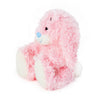 My Blue Nose Friends - Cotton Tail the Bunny Cute Collectable Beanie