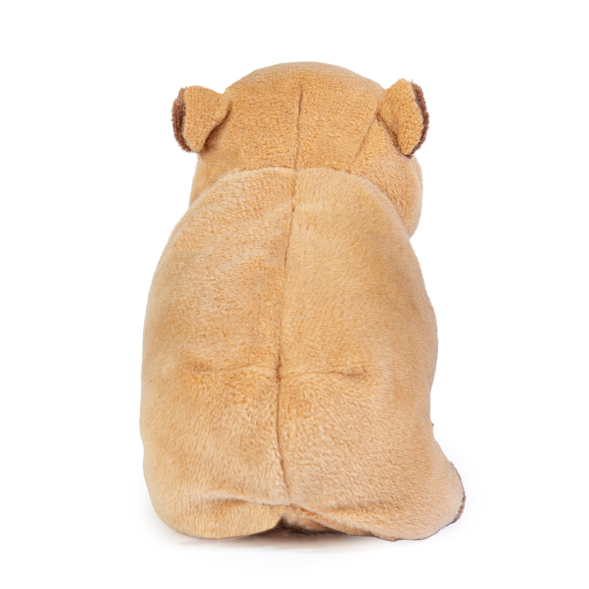 My Blue Nose Friends Cappy the Capybara (No.70)