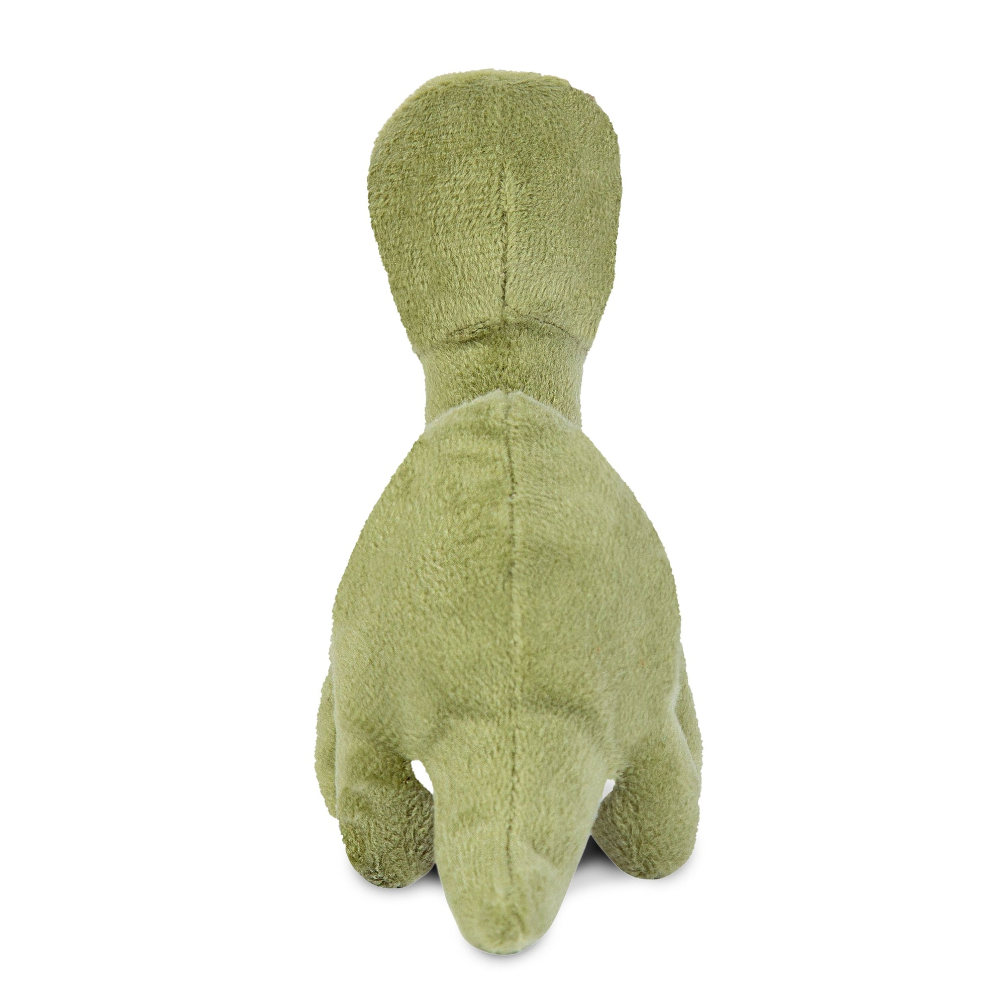 My Blue Nose Friends Tiptoes the Brontosaurus (No.71)