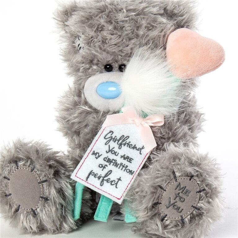 Perfect Girlfriend Tatty Teddy