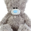 Me to You Tatty Teddy Cute Plush Bear 19cm