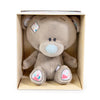 Plush teddy bear in a box with a white background