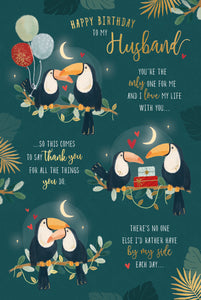 Cute Birthday Card To My Husband, Toucans Design With Loving Words by Wishing Well Studios. 6 X 9 Inches