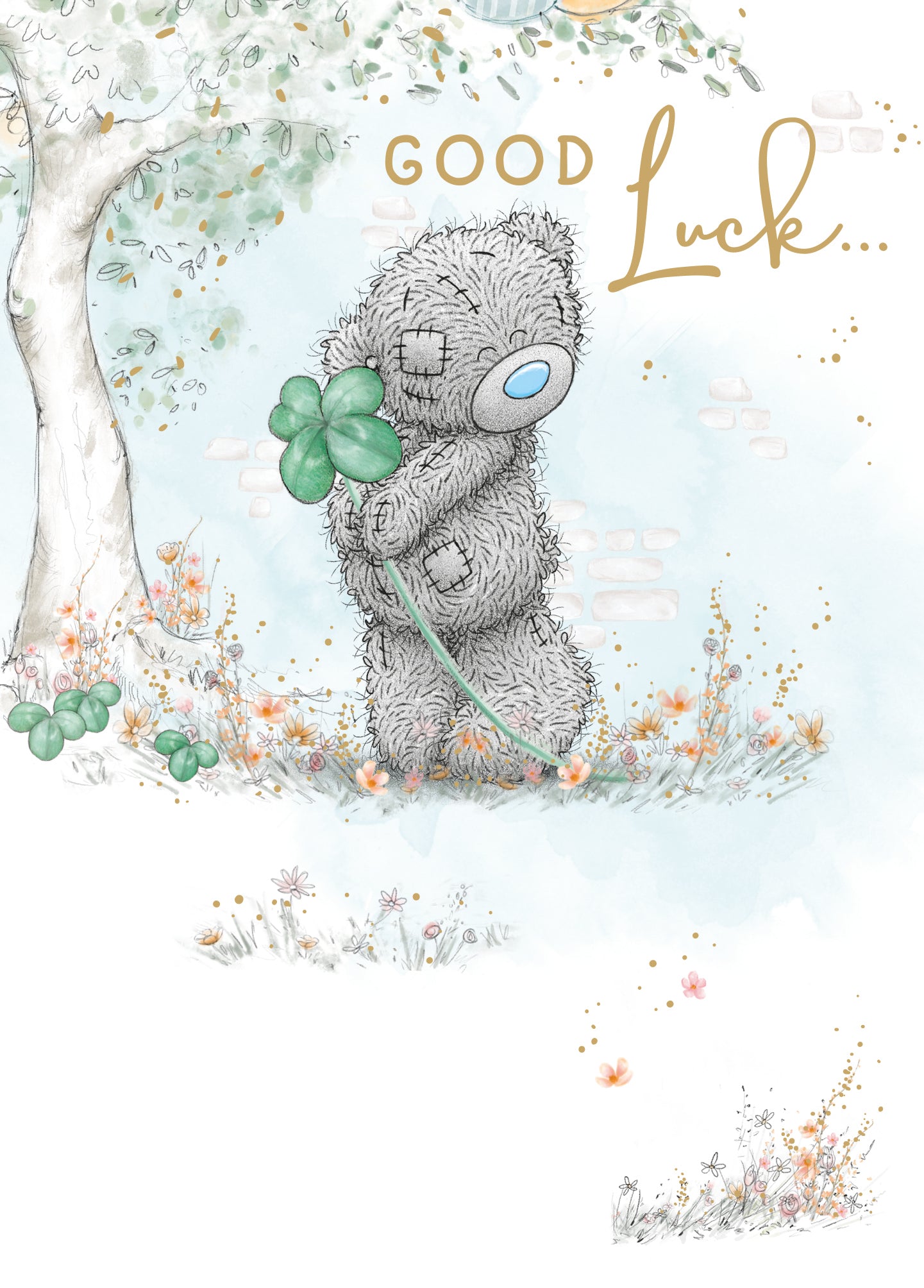 Me to You Tatty Teddy Good Luck Greeting Card 5 x 7 inches - Official Collection