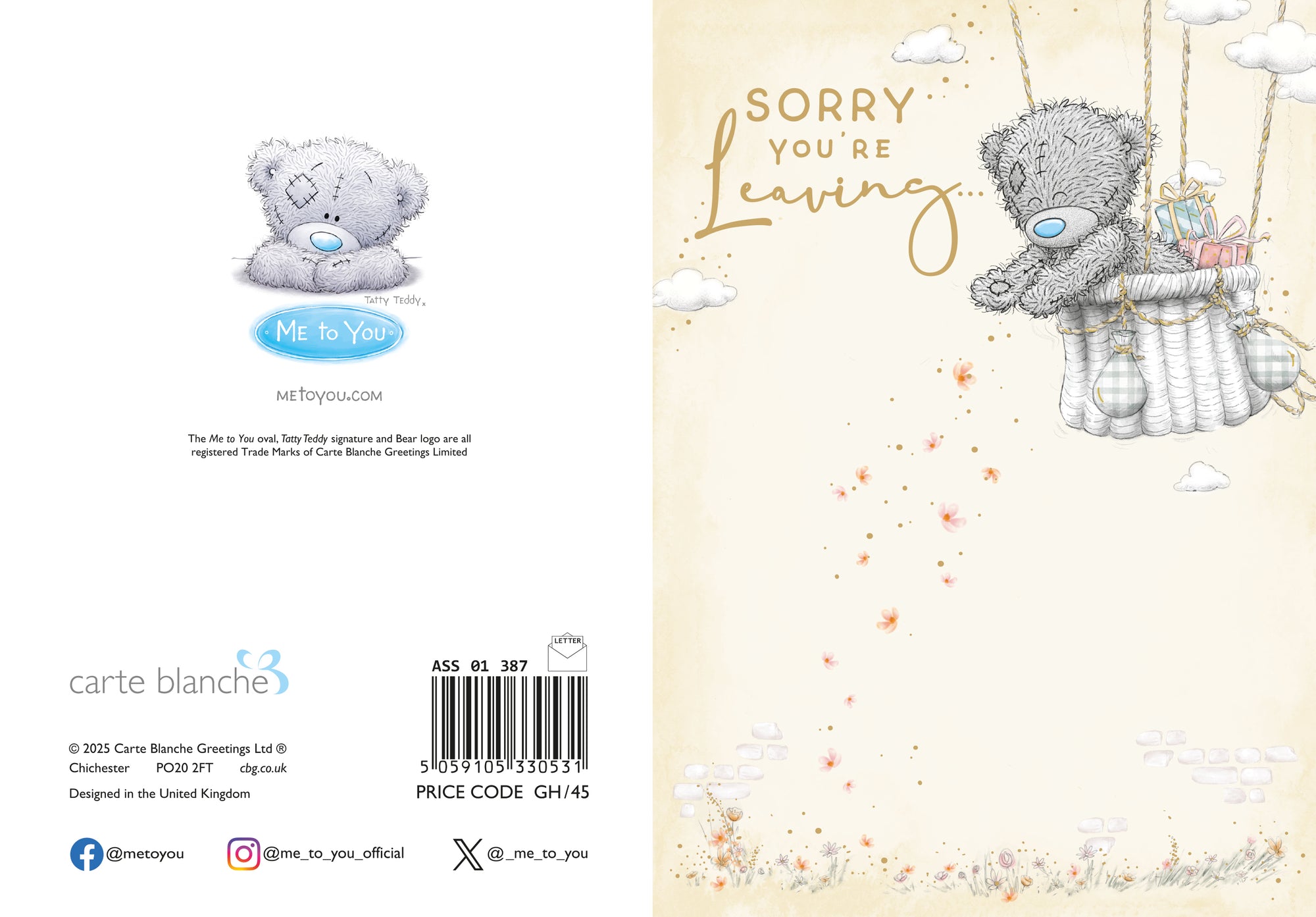Me to You Tatty Teddy Sorry You're Leaving Greeting Card 5 x 7 Inches (12 x 17 Cms) - Official Collection
