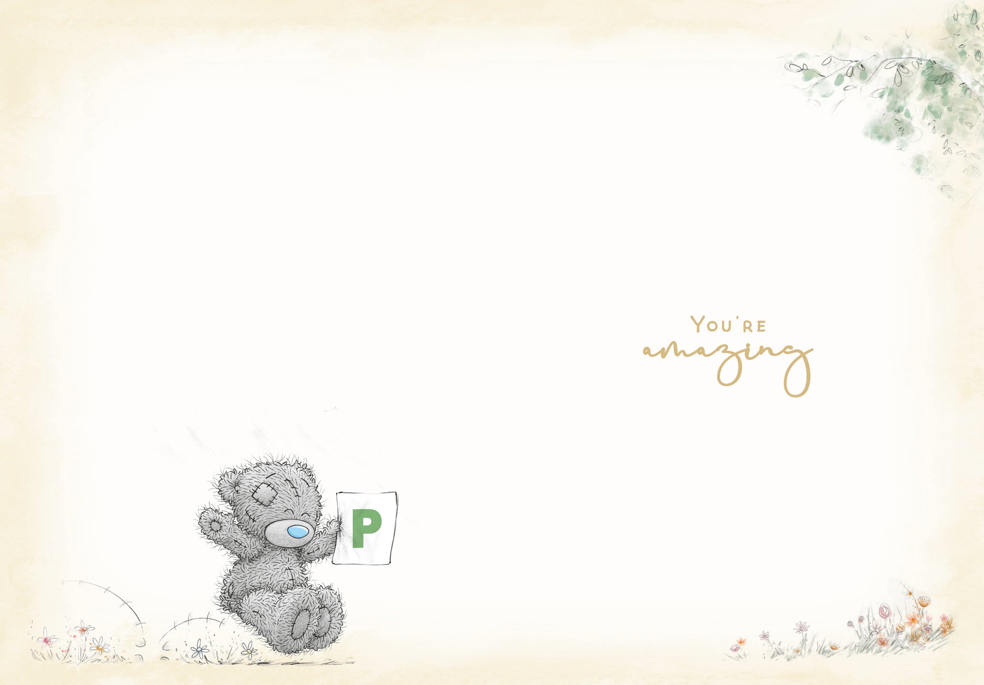 Me to You Tatty Teddy Passed Driving Test Congratulations Greeting Card 5 x 7 Inches (12 x 17 Cms) - Official Collection