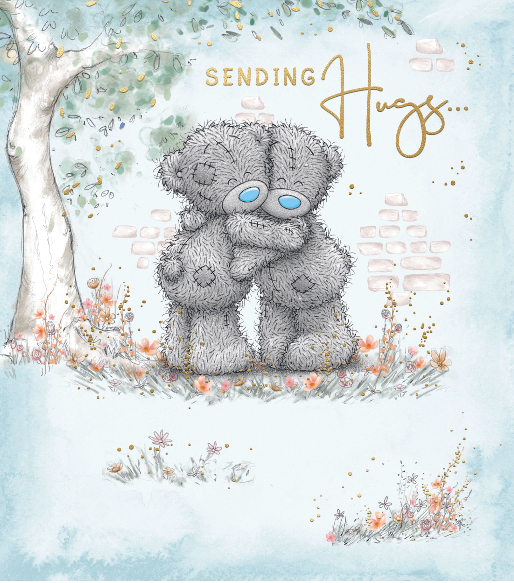 Me to You Tatty Teddy 'Sending Hugs' Thoughtful Greeting Card x
