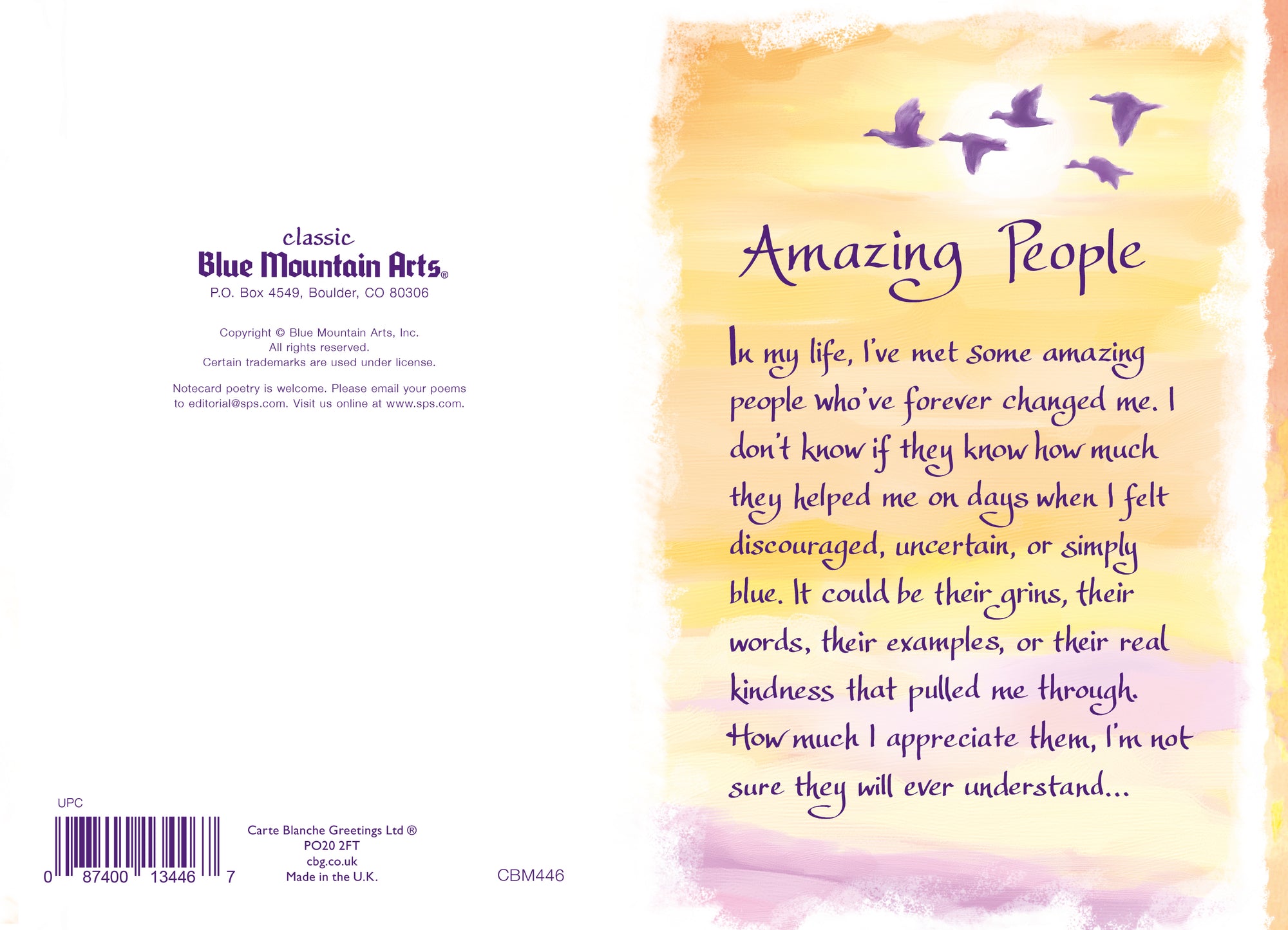 Blue Mountain Arts Amazing People in My Life I've Met - Greeting Card with a Lovely Verse Card
