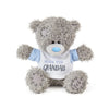 Me to You 'Hugs for Grandad' Tatty Teddy