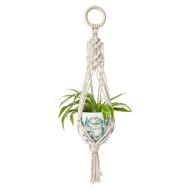 Me to You Tatty Teddy Make-Your-Own Macrame Plant Holder Kit - Official Collection