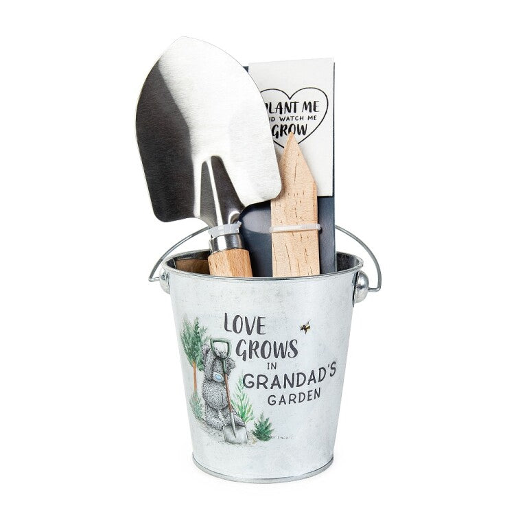 Me to You Father's Day Tatty Teddy Plant Pot Gift Set