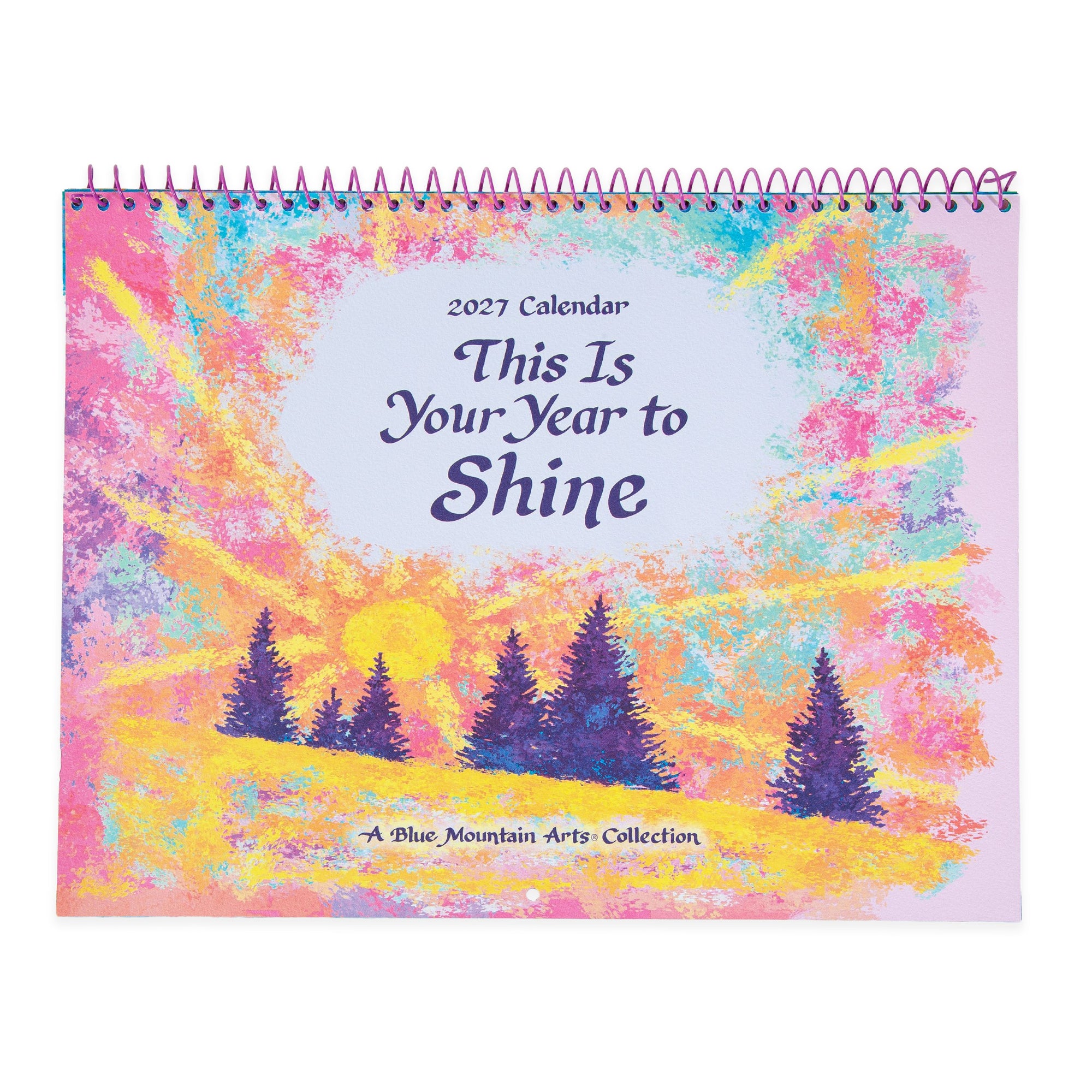 Blue Mountain Arts 'This Is Your Year To Shine' Hanging Wall Calendar 2027 30.5 x 23.1 cm