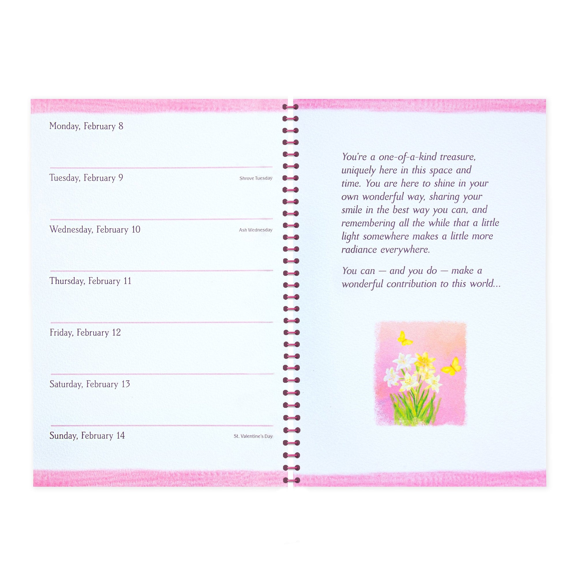Blue Mountain Arts 2027 Weekly Planner Diary With Inspirational Quotes 'You Are One Amazing Lady' - By Douglas Pagels  14.8 x 20.3 cm
