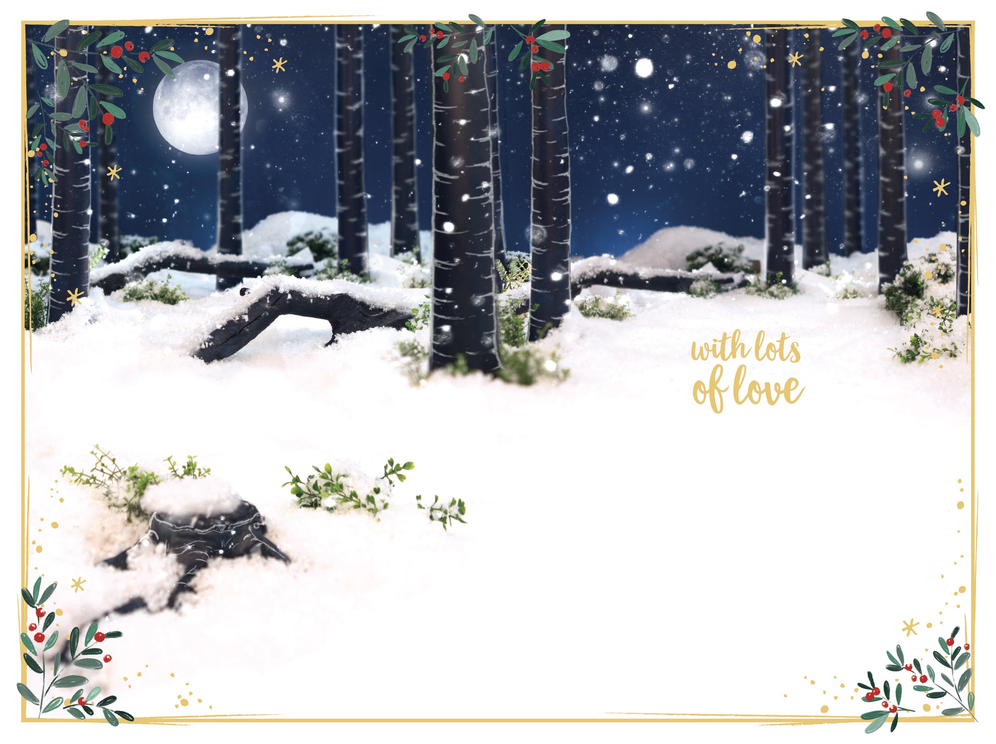 Me to You Tatty Teddy 'Special Granddaughter' 3D Christmas Card