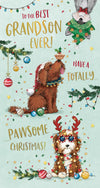 Luxury Christmas Card To The Best Grandson, Fun Illustrations Of Dogs At Christmas - Wishing Well Studios 5 X 9 Inches