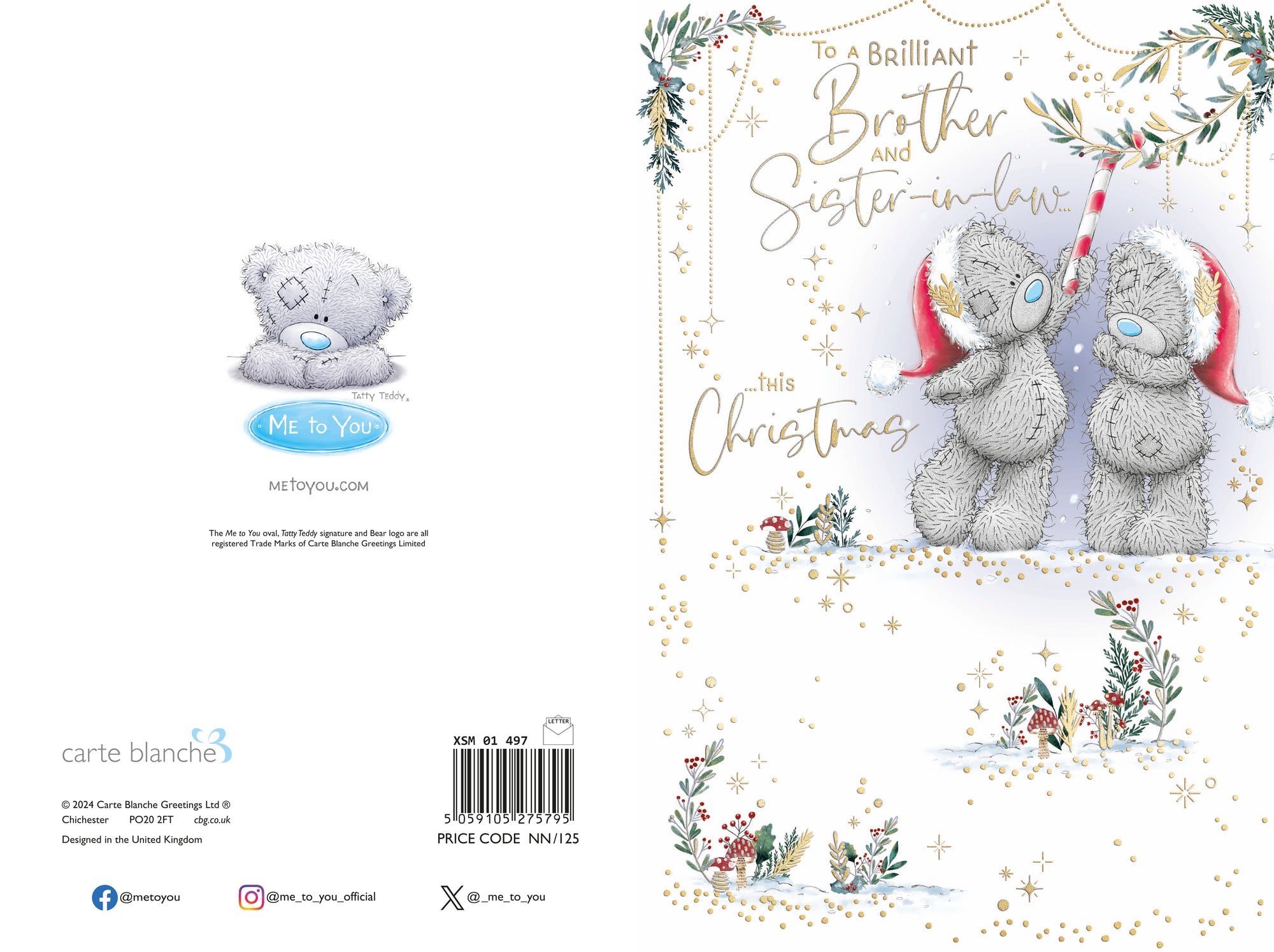 Me To You Tatty Teddy To A Brilliant Brother And Sister In Law Christmas Card With Illustrated Insert 6x9ins - Official Collection