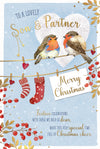 Luxury Christmas Card To A Lovely Son And Partner, Featuring Two Robins On A Snowy Washing Line - Wishing Well Studios 6 X 9 inches