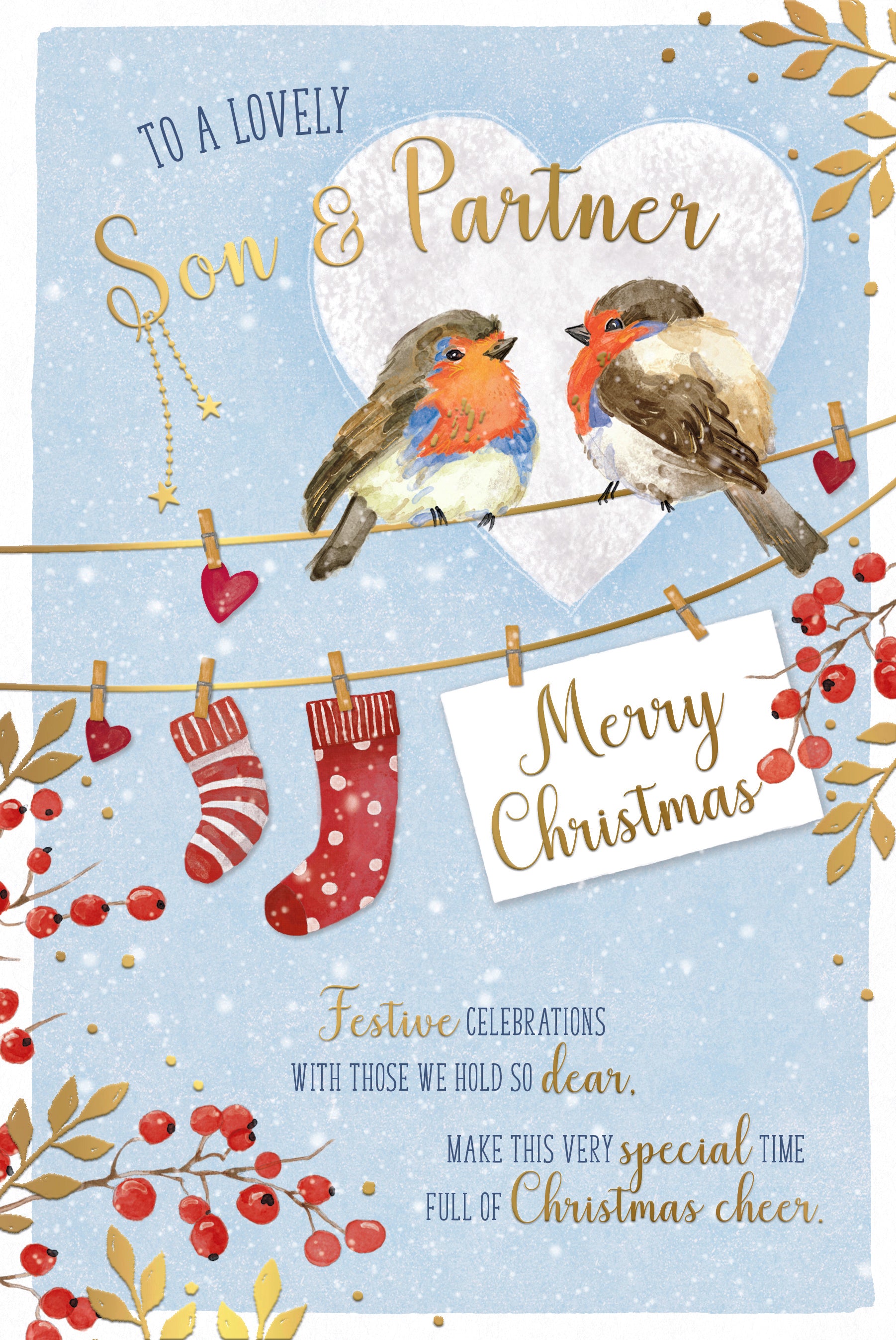 Luxury Christmas Card To A Lovely Son And Partner, Featuring Two Robins On A Snowy Washing Line - Wishing Well Studios 6 X 9 inches