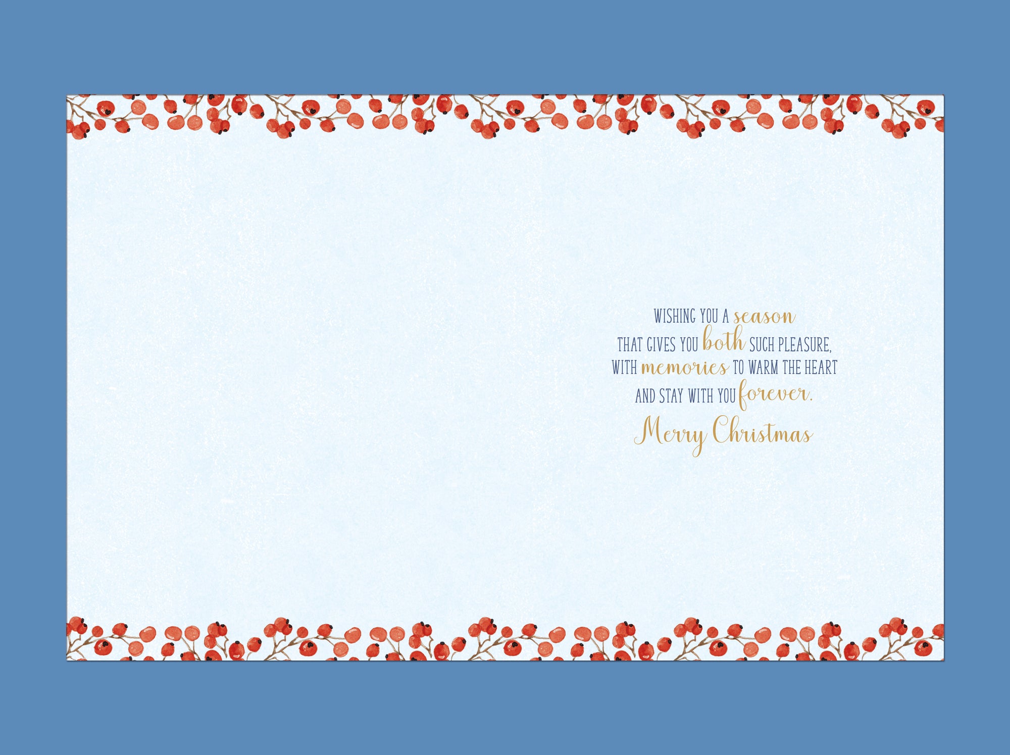 Luxury Christmas Card To A Lovely Son And Partner, Featuring Two Robins On A Snowy Washing Line - Wishing Well Studios 6 X 9 inches