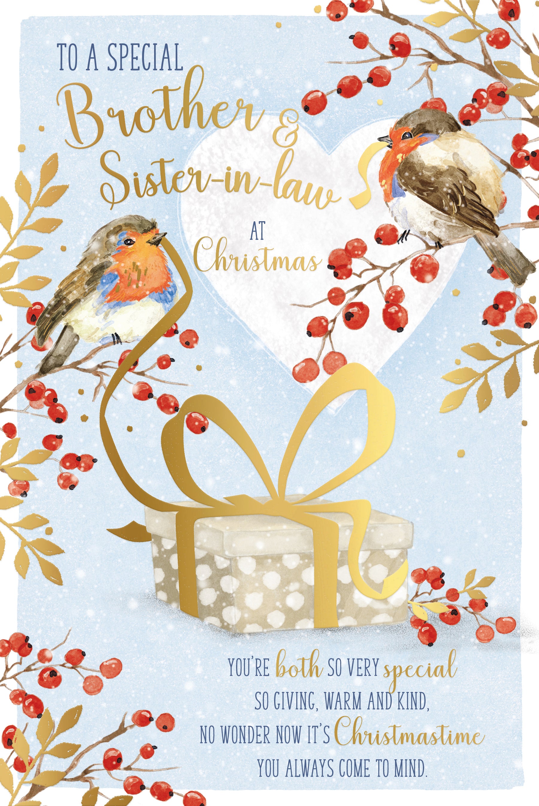 Luxury Christmas Card To A Special Brother Aand Sister-In-Law, Featuring Two Robins With A Christmas Present - Wishing Well Studios 15.2 x 22.8 cm