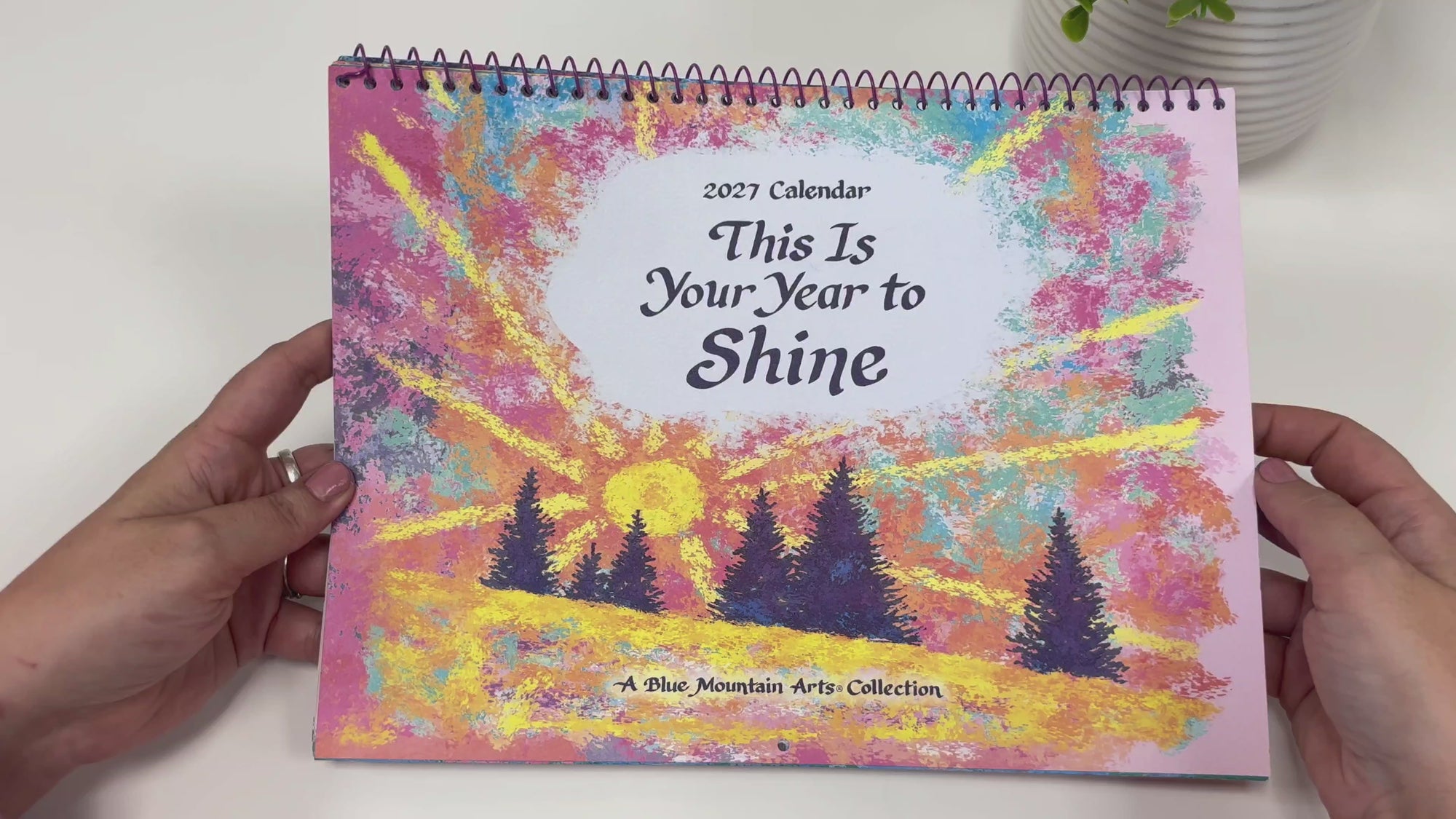 Blue Mountain Arts 'This Is Your Year To Shine' Hanging Wall Calendar 2027 30.5 x 23.1 cm