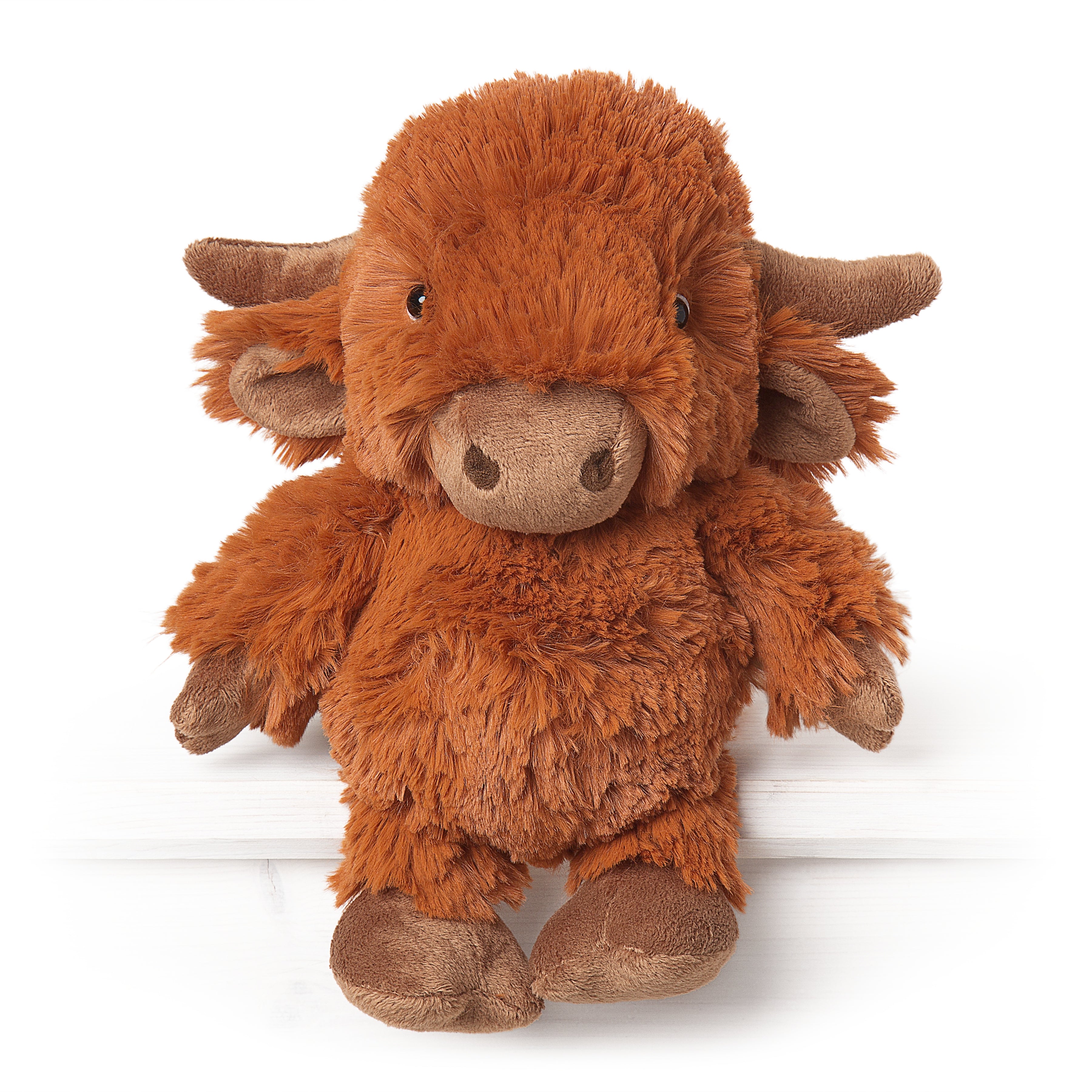 Hamish the Highland Cow