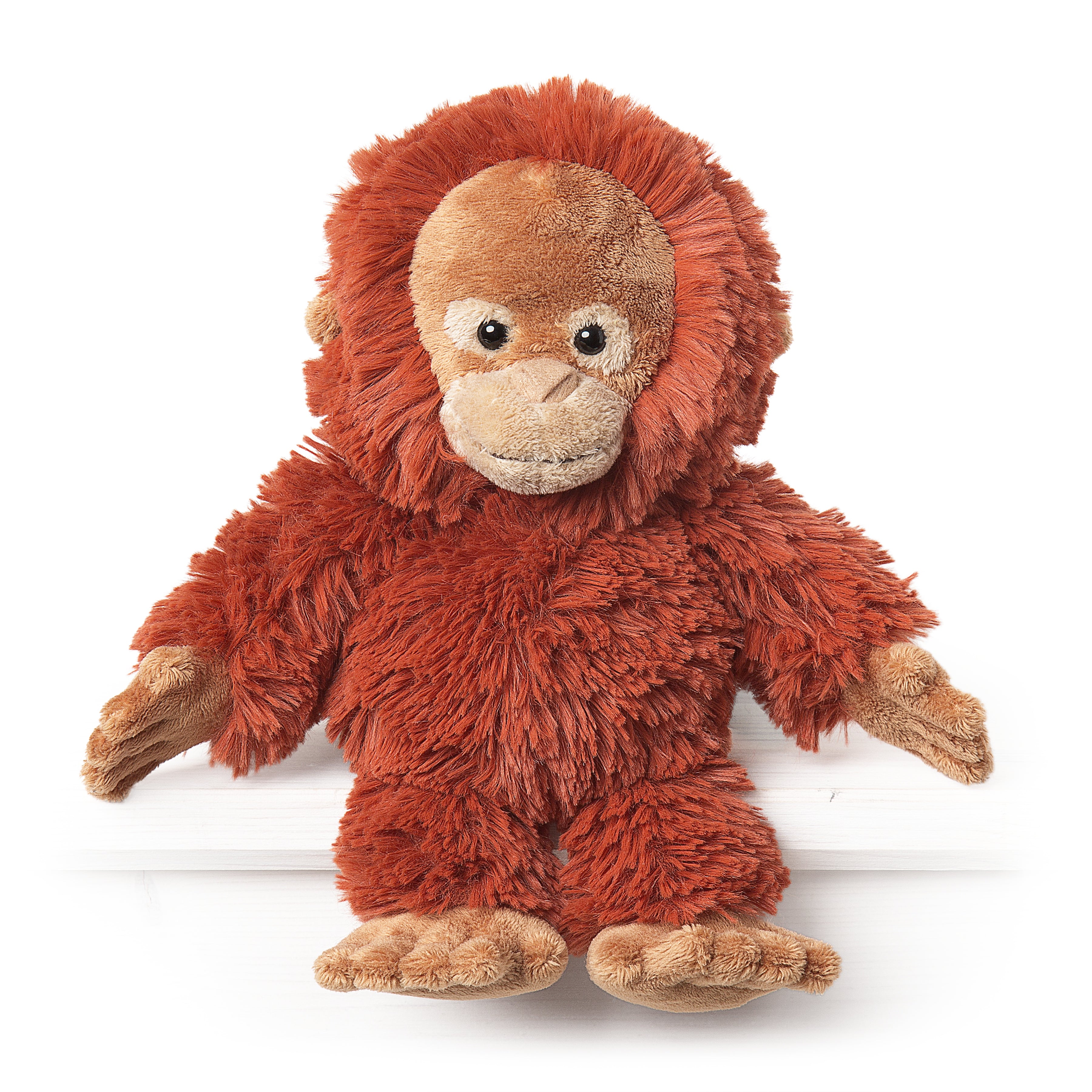 Maximus the Orangutan